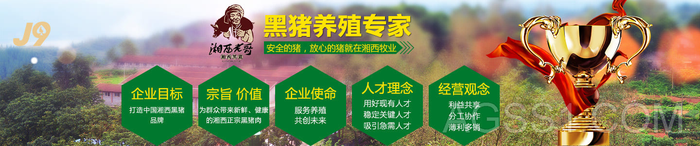 ub88.com(优游)登录网页版