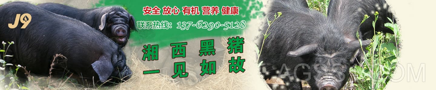 ub88.com(优游)登录网页版