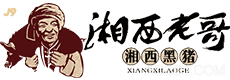 ub88.com(优游)登录网页版